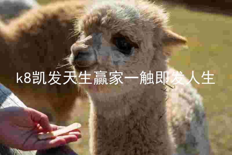 k8凯发天生赢家一触即发人生