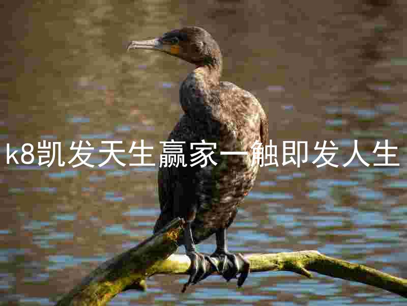k8凯发天生赢家一触即发人生