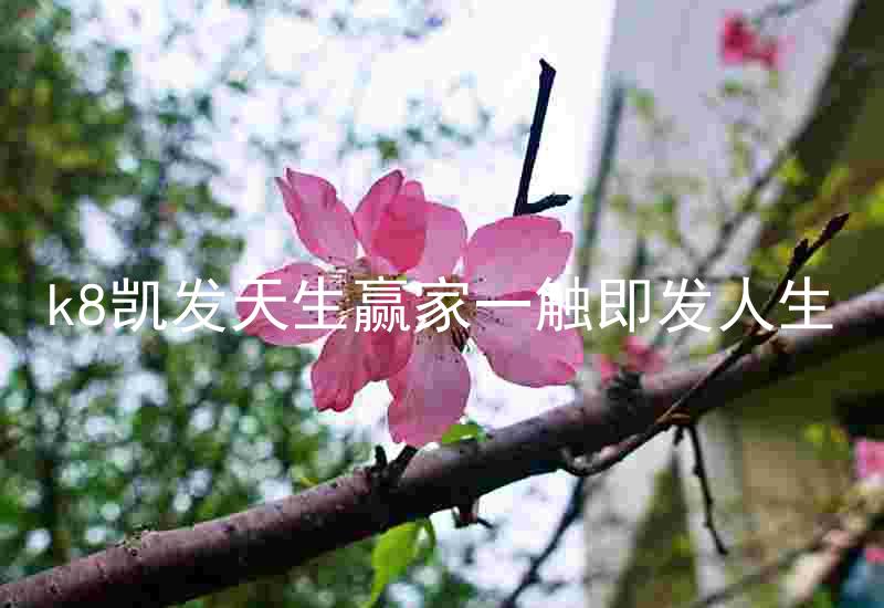k8凯发天生赢家一触即发人生